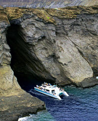 Na Pali and Ni'ihau "The Forbidden Island" Kauai Snorkel Cruise