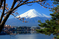 Excursión de un día al Monte Fuji desde Tokio con crucero por el lago Ashi