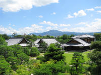Kyoto Day Tour of Golden Pavilion, Nijo Castle and Sanjusangendo from Osaka