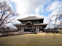 Visita a Kioto y excursión a Nara incluyendo el Castillo de Nijo