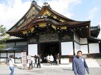 Visita al Templo Todaiji, el Parque de Ciervos y el Santuario Kasuga de Nara
