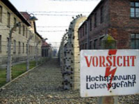 Auschwitz-Birkenau Museum Half-Day Trip from Krakow