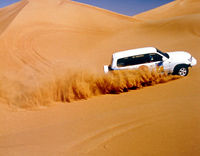 Private 4x4 Safari: Taste of the Arabian Desert Day Trip from Dubai