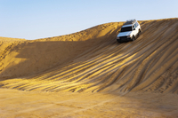 Recorrido privado: Excursión de un día en por el desierto arábigo con salida desde Dubái