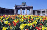 Brussels Half-Day City Tour
