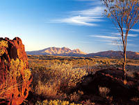 Alice Springs to Uluru (Ayers Rock) One Way Shuttle