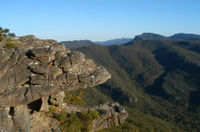 Grampians National Park and Australian Animals Small Group Tour from Melbourne