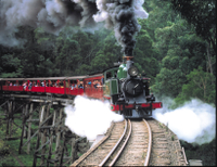 Paseo en tren de vapor y visita al valle del Yarra y el Healesville Sanctuary