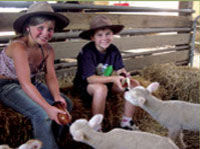warrook cattle and sheep farm
