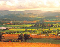 Yarra Valley and Hills