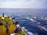 Algarve Cruises & Water Tours
