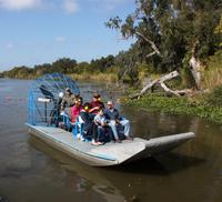Small-Group Bayou Airboat Ride with Transport from New Orleans