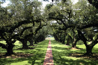 Small-Group Tour of Oak Alley and Laura Plantation from New Orleans