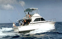 Deep Sea Fishing from St Lucia