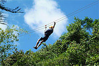 Rainforest Canopy Adventure from Vieux Fort or North Island, St Lucia