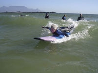 Cape Town Surfing Safari