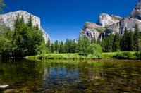 Excursión al Parque Nacional de Yosemite con sus secuoyas gigantes