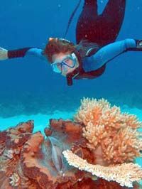 Outer Great Barrier Reef Dive and Snorkel Cruise from Port Douglas