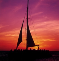 Palm Pleasure Sunset Sail