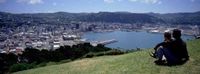 Wellington City and Coastline Tour