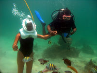 Punta Cana Seaquarium Underwater Adventure