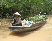Private Tour: Mekong River Cruise Tour from Ho Chi Minh City