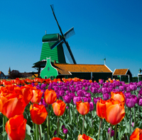 Tour económico desde Ámsterdam 3 de 1 día : capital, molinos de Zaanse Schans, Volendam y Marken
