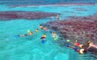 Cades Reef Snorkel Cruise