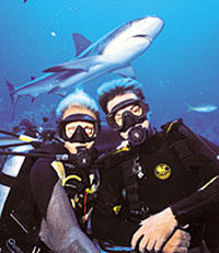 Nassau Shark Diving