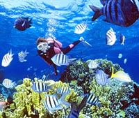 Resort Diving Course in Nassau