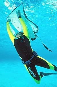 Grand Cayman SCUBA Diving