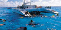 Grand Cayman Stingray City Snorkel Lunch Sail