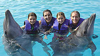 Nuevo Vallarta Family Dolphin Experience
