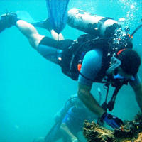 Sir Francis Drake Island Full-Day Scuba Diving Adventure