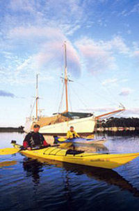 Hobart Sea Kayaking Tour