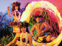 Creation - A Polynesian Journey