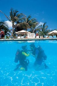 Introductory Diving in Aruba
