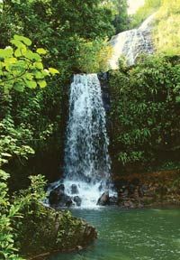 Kalihiwai Falls