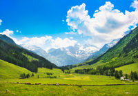 Excursión a Berchtesgaden y el Nido del Águila desde Múnich