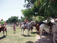 Horseback Riding from Cozumel