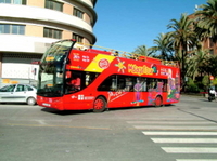 Malaga Shore Excursion: Malaga City Hop-on Hop-off Tour