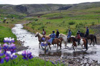 Viking Horse-Riding and Gulfoss and Geysir Express Tour from Reykjavik