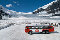 Columbia Icefield Tour including the Glacier Skywalk from Calgary