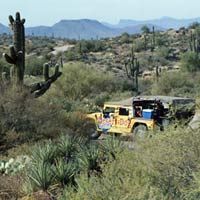 Hummer Night Tour in the Sonoran Desert