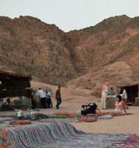 Private Tour: Egyptian Stars and Bedouin Dinner