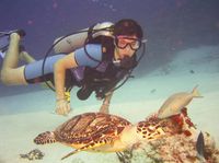 PADI Certified Scuba Diving in Cozumel