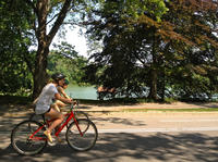 Book Small-Group Central Park Bike Tour Now!