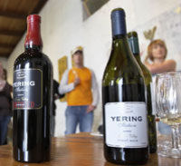 Yarra Valley Wine tour