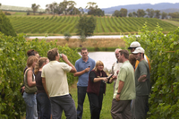 Yarra Valley Deluxe Winery Tour from Melbourne