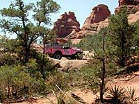 Diamondback Gulch Jeep Tour